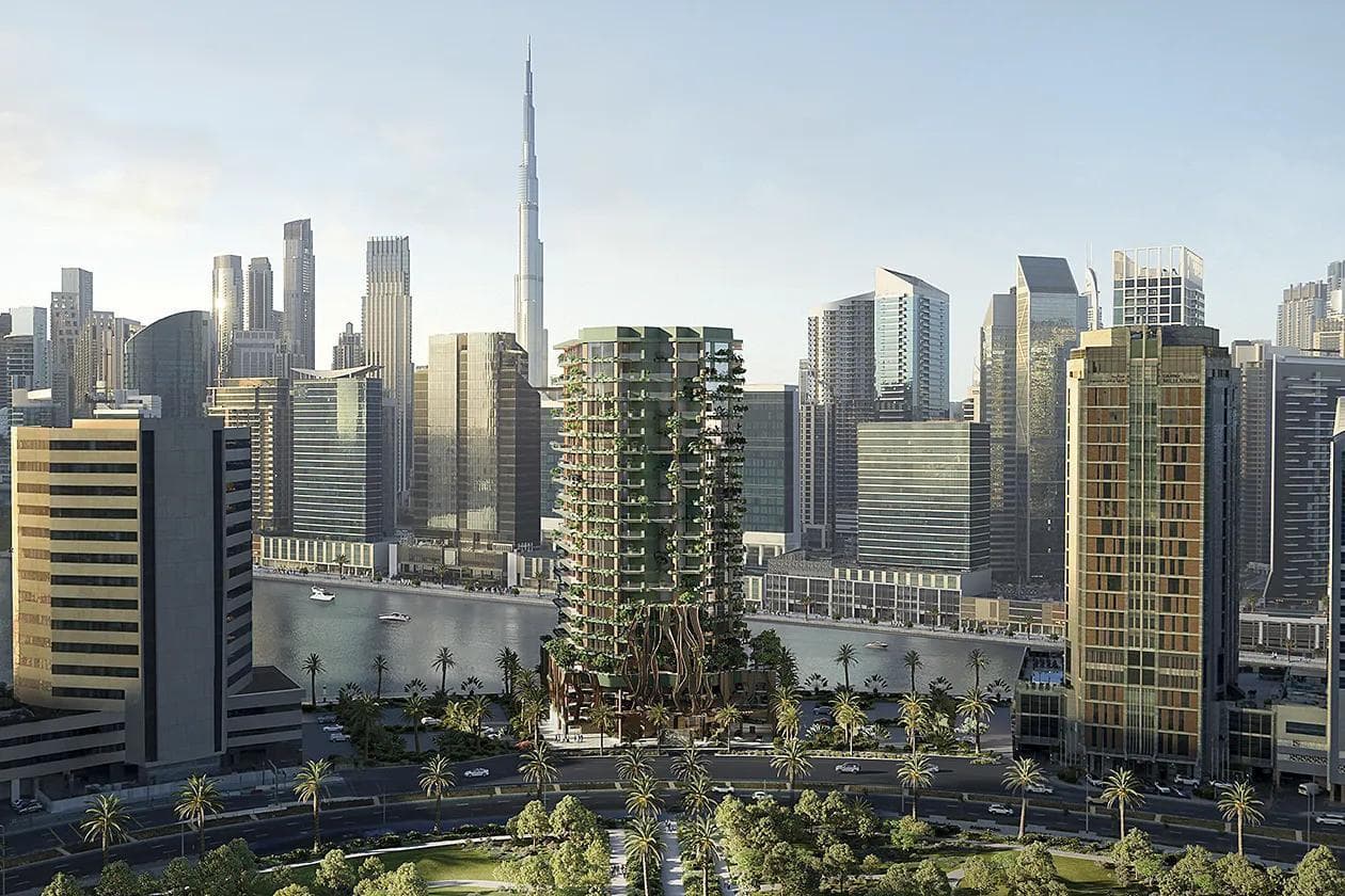 ايوا - Image 1